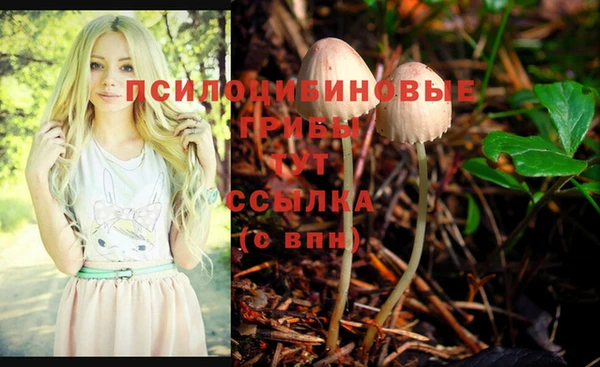 мет Баксан
