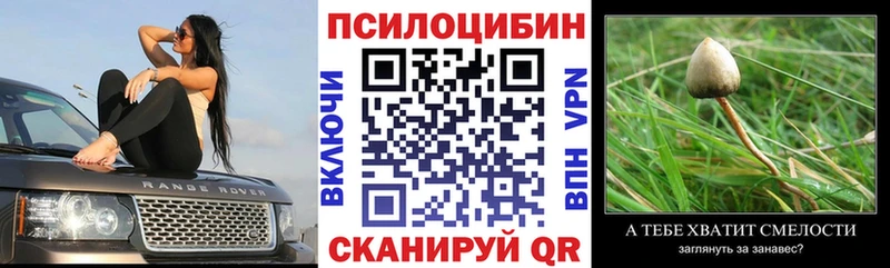 хочу наркоту  Гаврилов-Ям  Галлюциногенные грибы MAGIC MUSHROOMS 